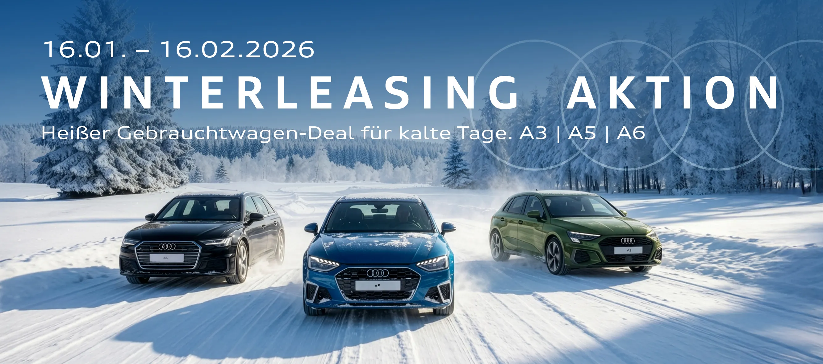 Audi GW+ Winterleasing