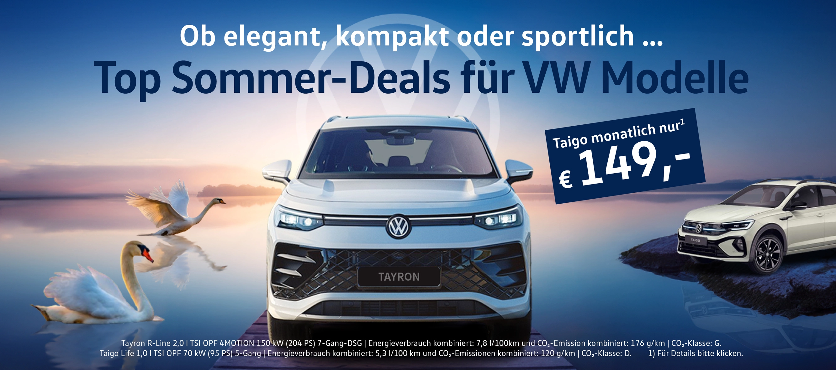 Summer Deals