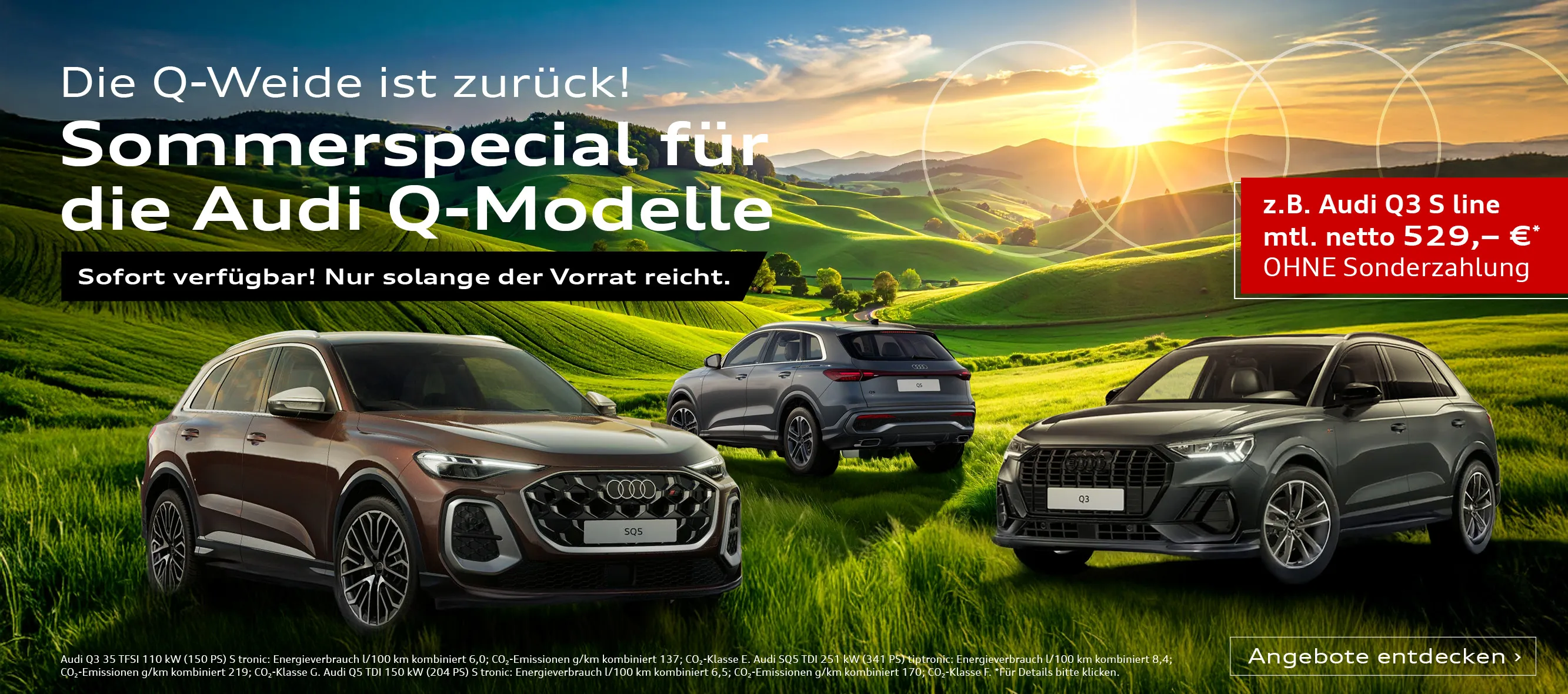 Audi Q Modelle