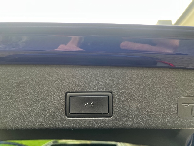 Golf VIII Variant 2.0 TDI R-Line DSG Pano