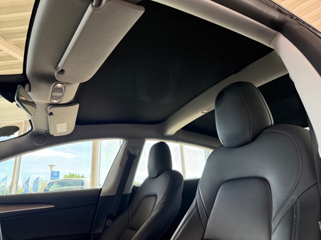 Model 3 Performance Dual AWD Alu 20'