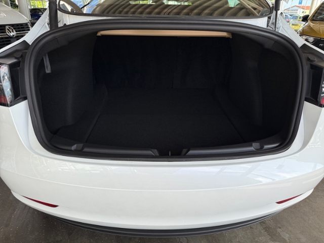 Model 3 Performance Dual AWD Alu 20'