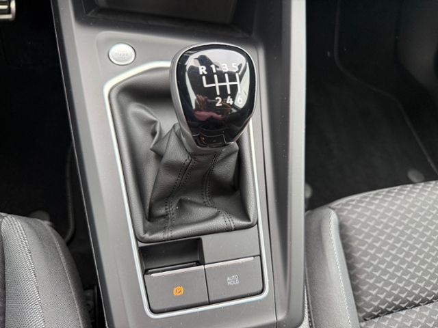 Golf VIII Life Active 1.5 TSI LED AHK Navi