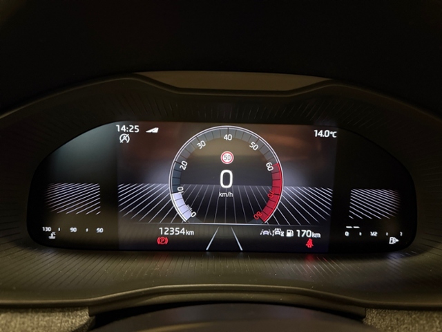 Kamiq 1.0 TSI Selection AHK LED DAB+