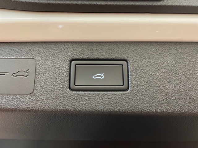 T-Roc 1.5 eTSI Style DSG AHK IQ-Light