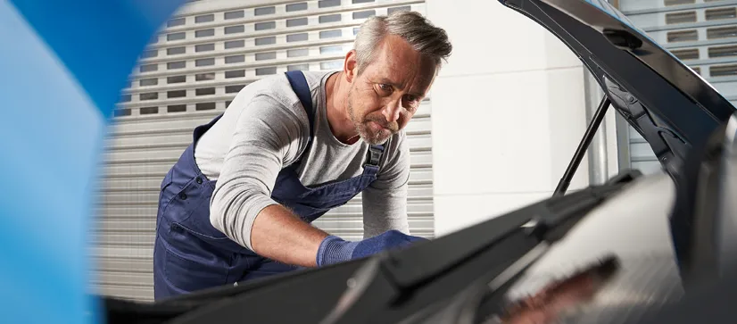 Service, Wartung und Reparatur
