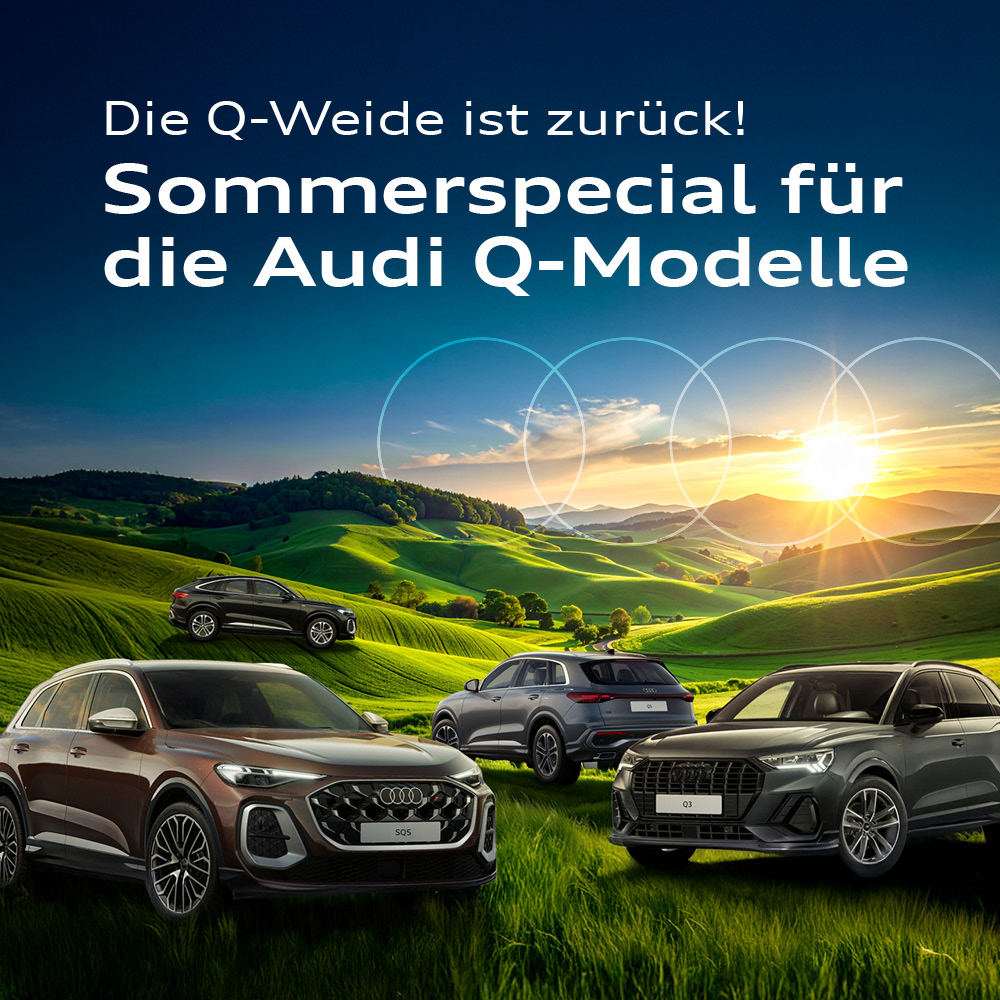 header-mobil Kopfbild Audi Q Modelle