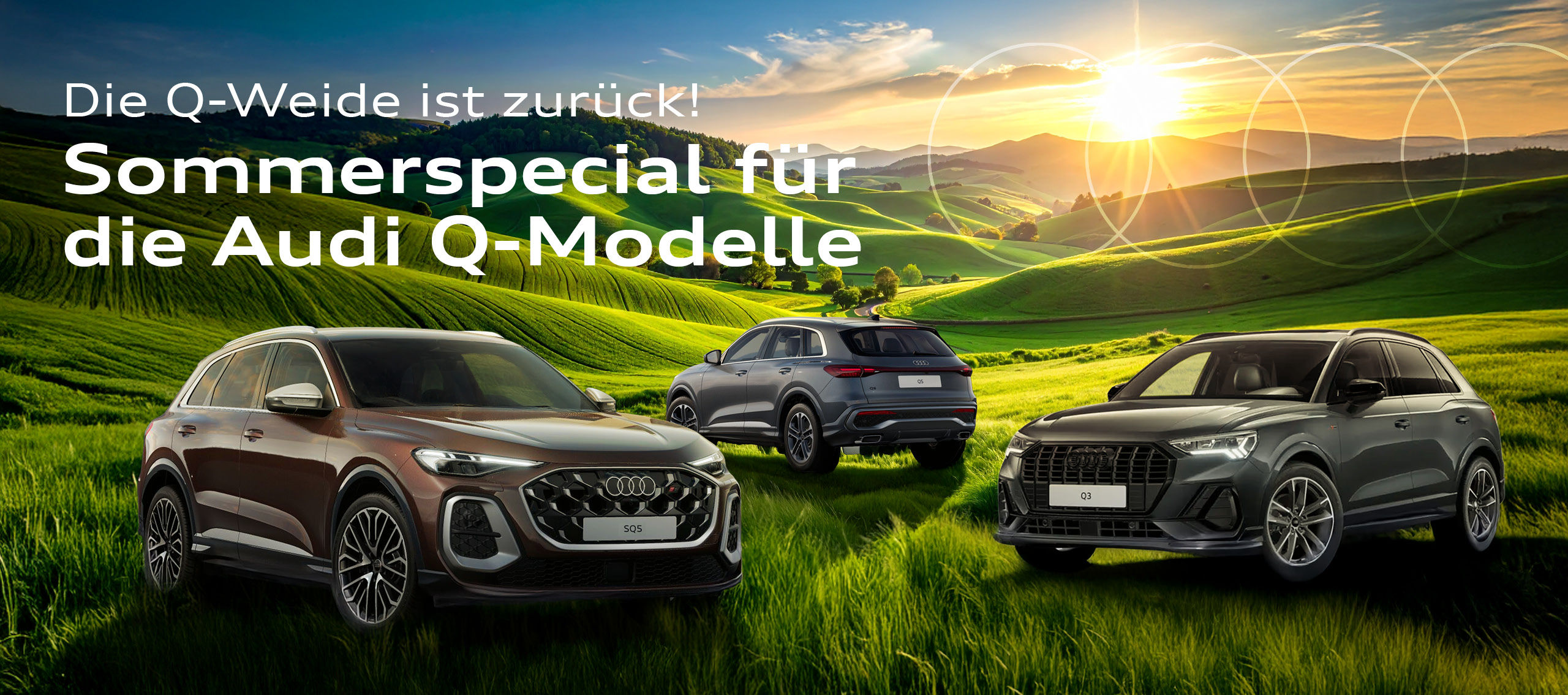 header Kopfbild Audi Q Modelle