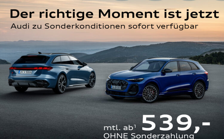  Audi Lageraktion