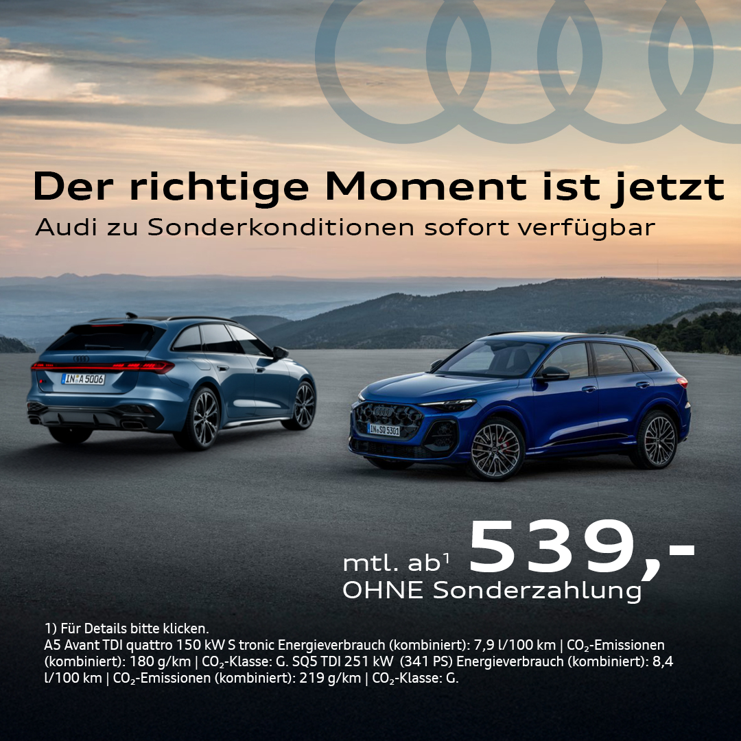 BEITRAGSBILD Audi Lageraktion Q3