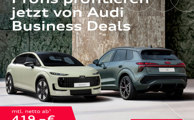  Audi Gewerbe Deals 